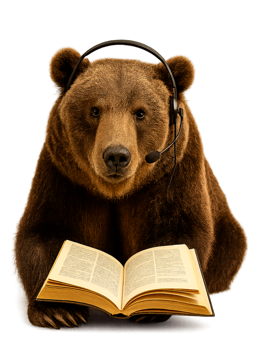At RoamSee, even a bear from Teriberka would answer your questions